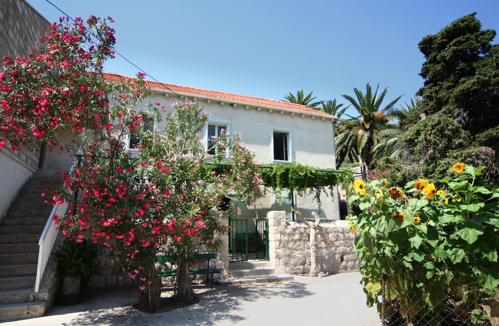 Guest House Katica Zaton  Rum bild